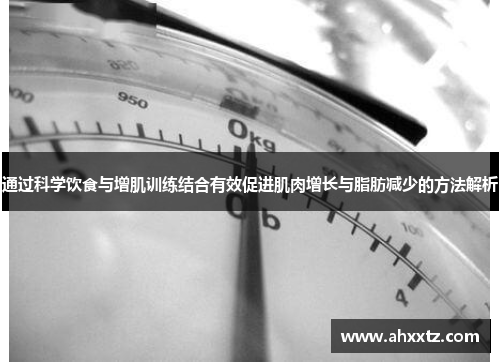 通过科学饮食与增肌训练结合有效促进肌肉增长与脂肪减少的方法解析