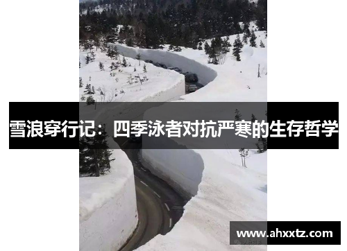 雪浪穿行记：四季泳者对抗严寒的生存哲学