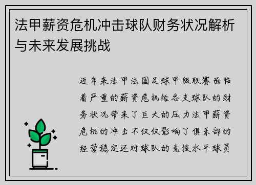 法甲薪资危机冲击球队财务状况解析与未来发展挑战