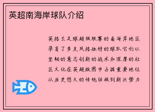 英超南海岸球队介绍