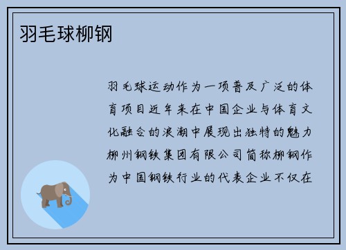 羽毛球柳钢